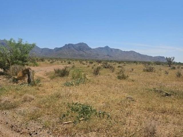 Land for sale in Luna, New Mexico