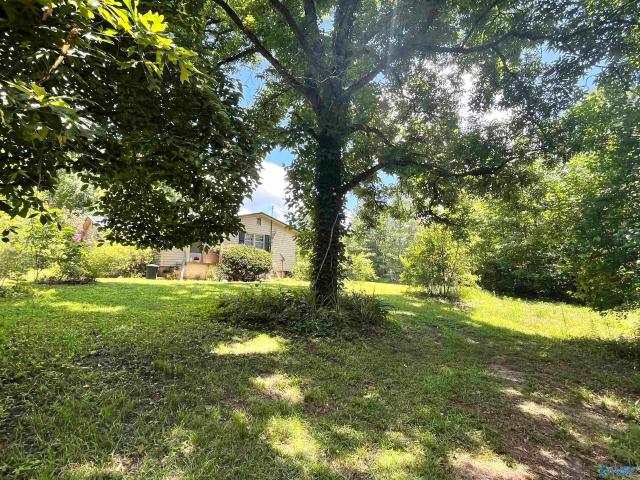 House for sale in Etowah, Alabama