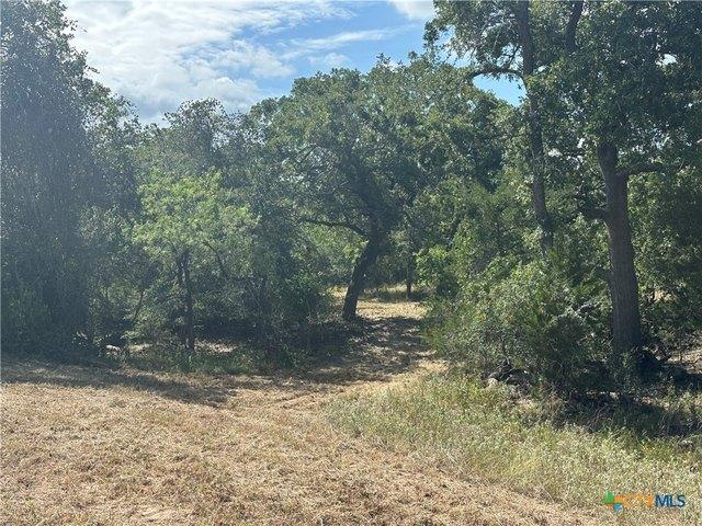 Land for sale in Luling, Texas