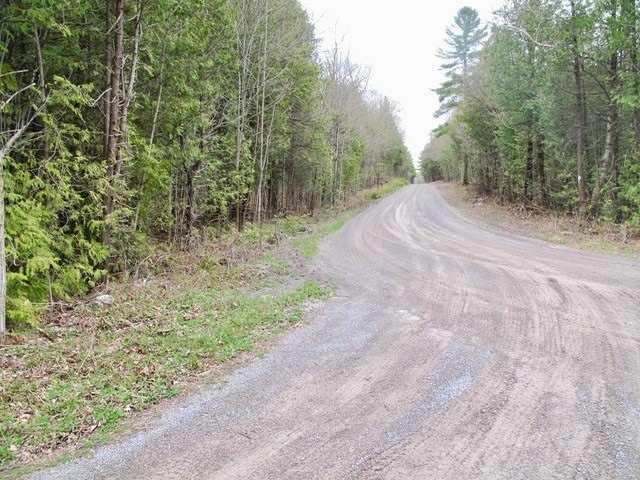 Land for sale in Douro-dummer, Ontario
