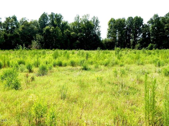 Land for sale in Bruce, Mississippi