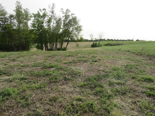 Land for sale in Winchester, Kentucky