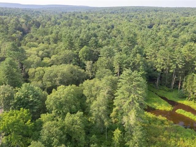 Land for sale in Buck Hill Falls, Pennsylvania