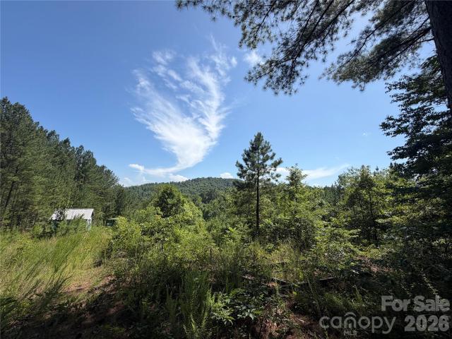 Land for sale in Rutherford, North Carolina