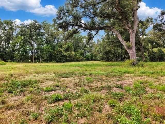 Land for sale in Bell, Gilchrist County