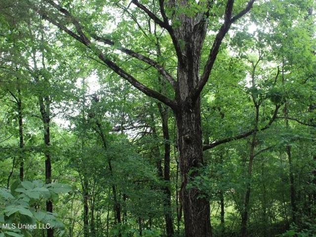 Land for sale in Byhalia, Mississippi