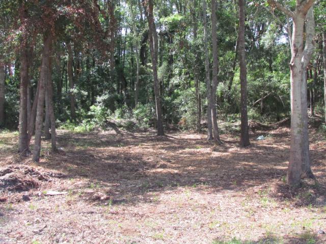 Land for sale in Port Royal, South Carolina