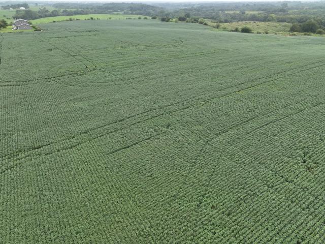 Land for sale in Exline, Iowa