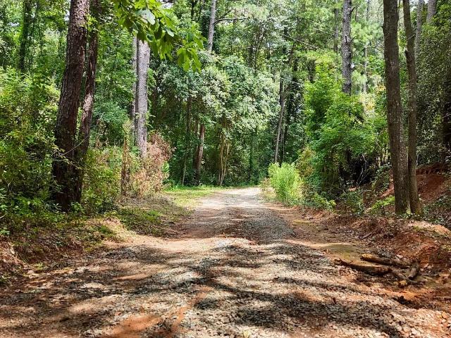 Land for sale in Upson, Georgia