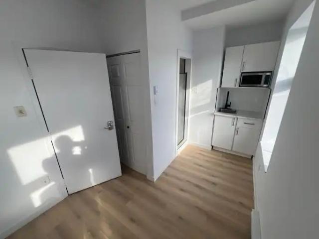 Apartment for rent in Le Sud-Ouest, Montréal