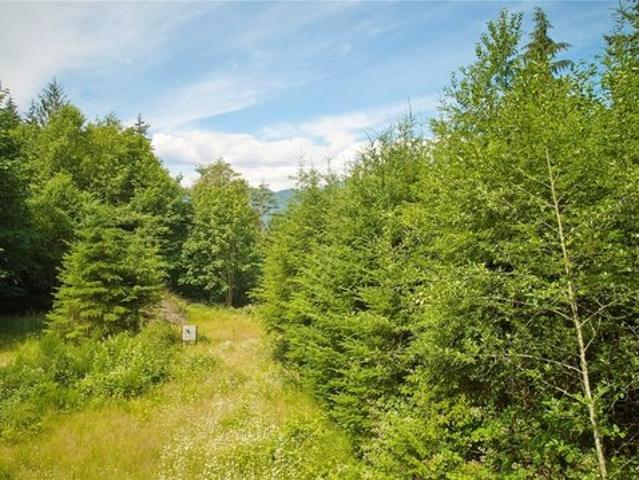 Land for sale in Quilcene, Washington