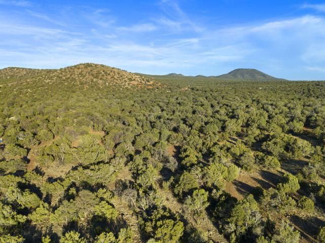Land for sale in Williams, Arizona