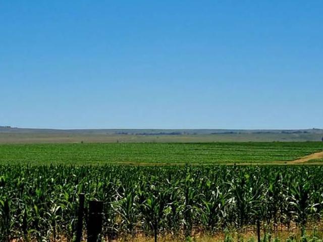 Farm for sale in Senekal, Free State