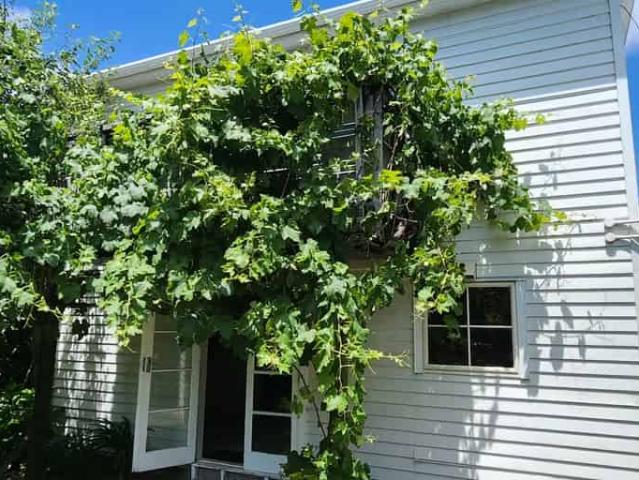 House for rent in Te Ranga, Bay Of Plenty