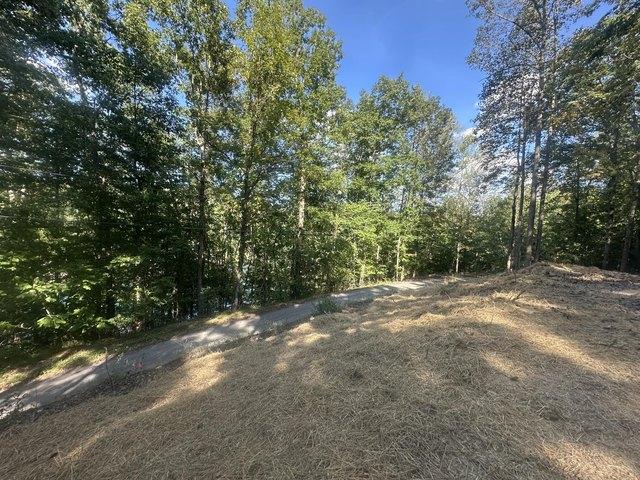 Land for sale in East Bernstadt, Laurel County