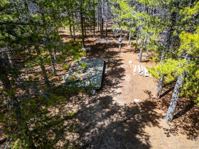 Land for sale in Red Feather Lakes, Colorado