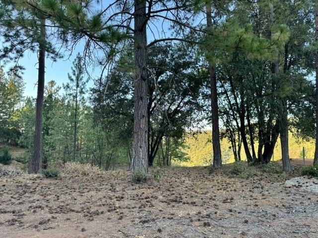 Land for sale in Murphys, California