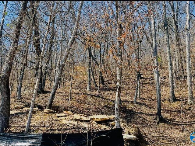 Land for sale in Etowah, Alabama