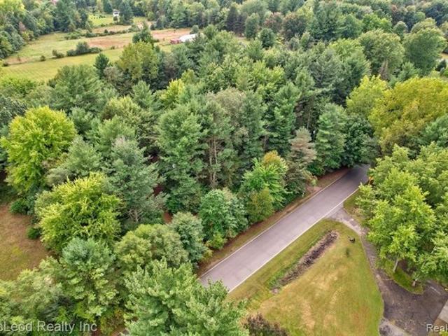 Land for sale in Millington, Tuscola County