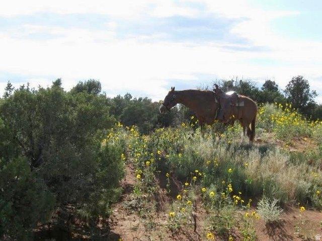 Land for sale in Roosevelt, Utah
