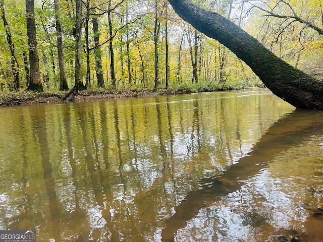 Land for sale in Carlton, Georgia