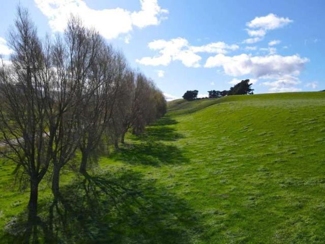 Property for sale in Tararua District