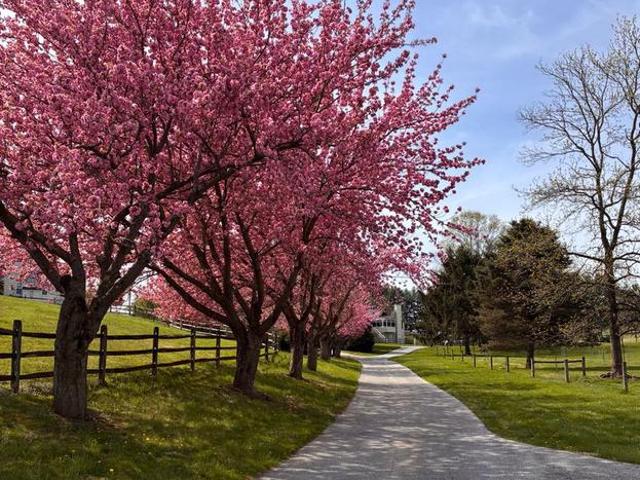 House for sale in Chester, Pennsylvania