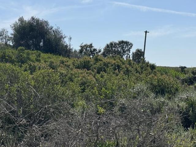 Land for sale in Groot Brak Rivier, Western Cape