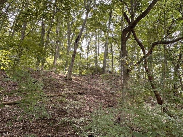 Land for sale in Morgantown, Morgan County