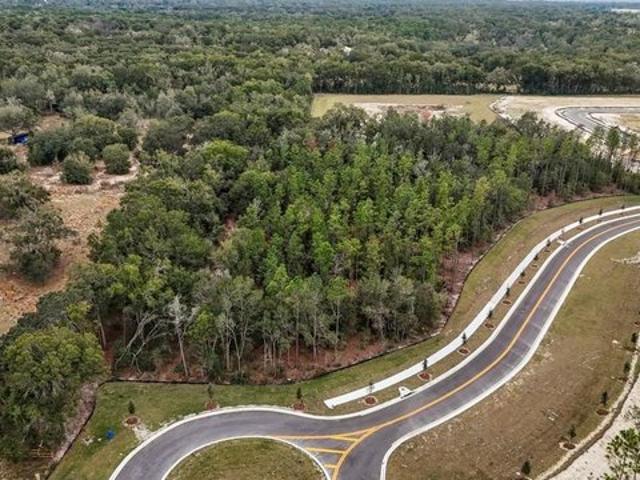 Land for sale in Mount Dora, Florida