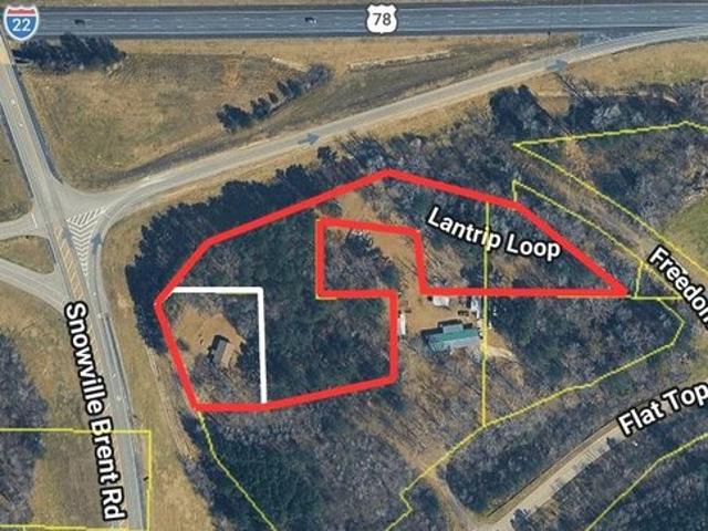 Land for sale in Dora, Alabama