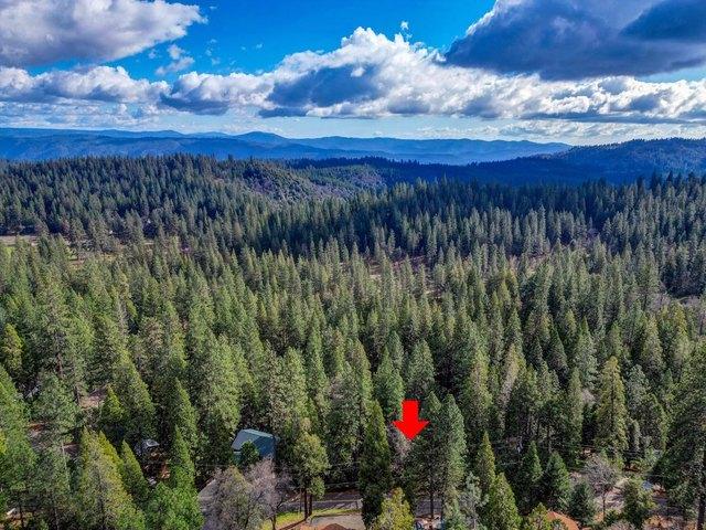 Land for sale in Avery, California