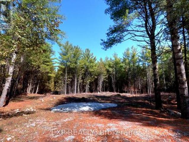 Land for sale in Douro-dummer, Ontario