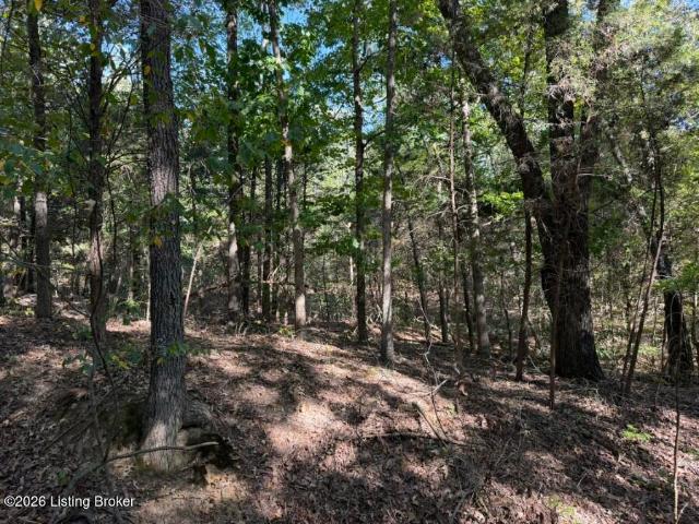 Land for sale in Beaver Dam, Ohio County