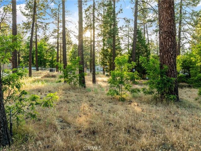House for sale in Mountain Center House for sale in Mountain Center