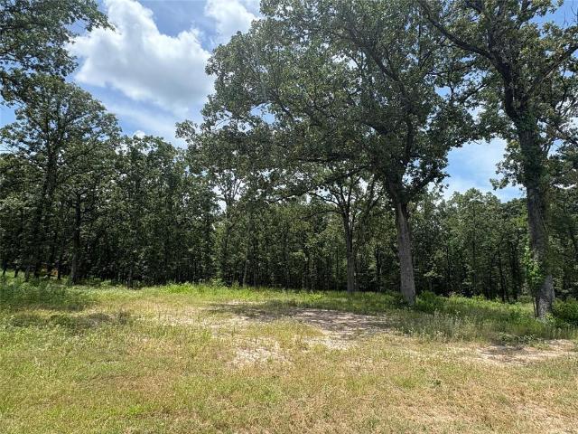 Land for sale in Wood, Texas