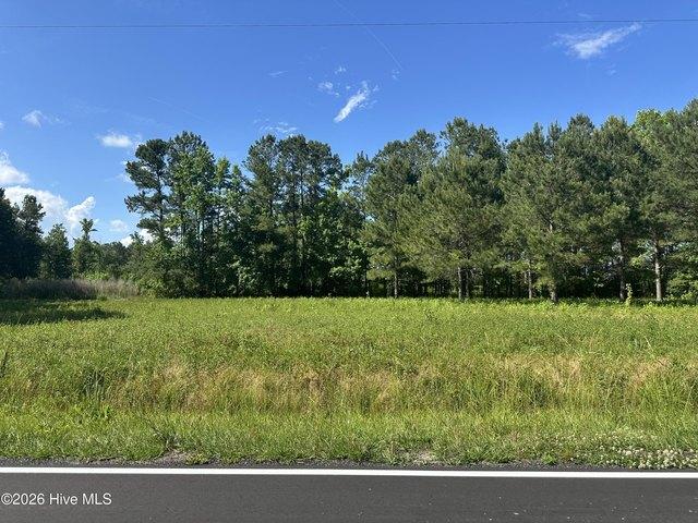 Land for sale in Nakina, North Carolina