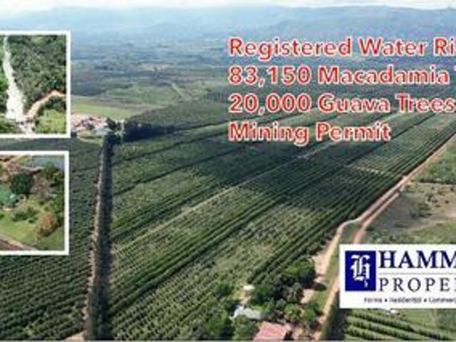 Farm for sale in Vhembe, Limpopo