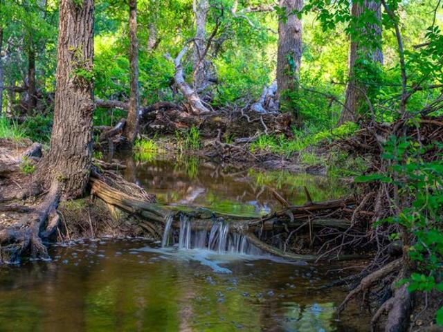 Farm for sale in Gatesville, Texas