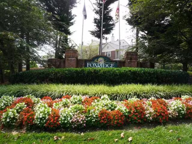 Condo for rent in Randallstown, Maryland