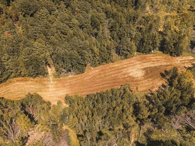 Land for sale in Tennessee