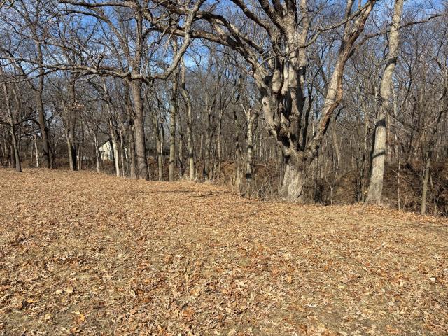 Land for sale in Marshall, Illinois