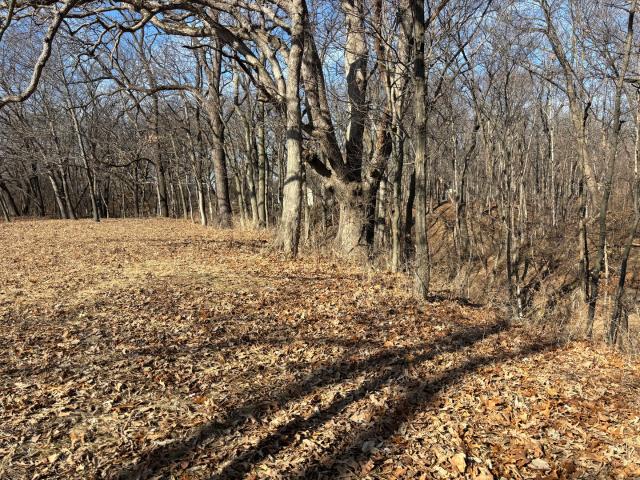 Land for sale in Marshall, Illinois