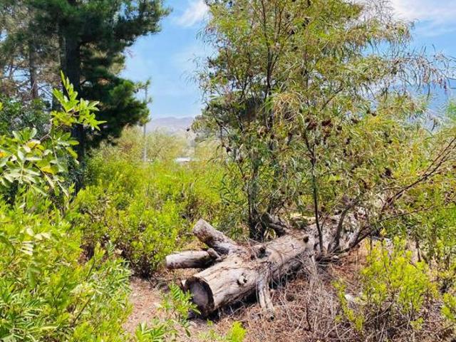 Land for sale in Rietpoel, Theewaterskloof Local Municipality