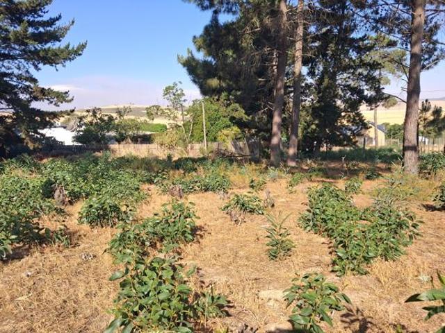 Land for sale in Grabouw, Western Cape