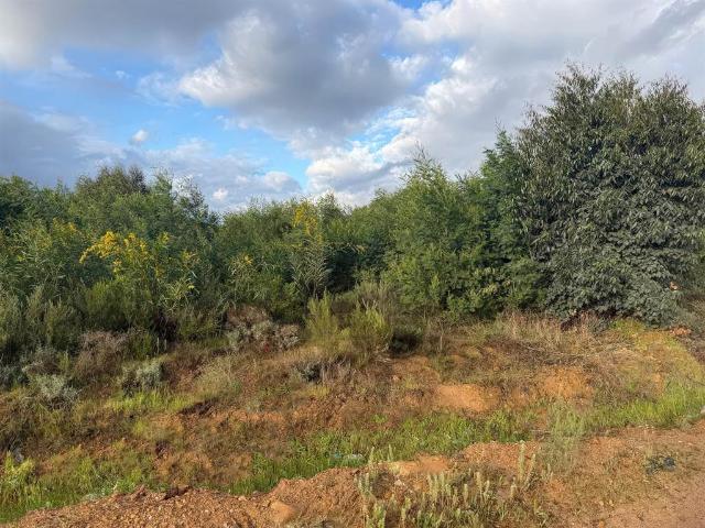 Land for sale in Grabouw, Western Cape
