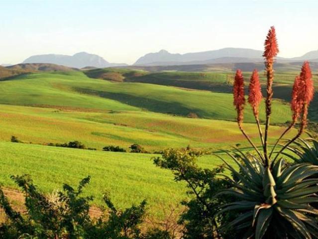 Land for sale in Grabouw, Western Cape