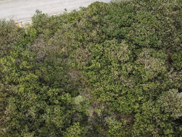 Land for sale in Bushmans River Mouth, Eastern Cape