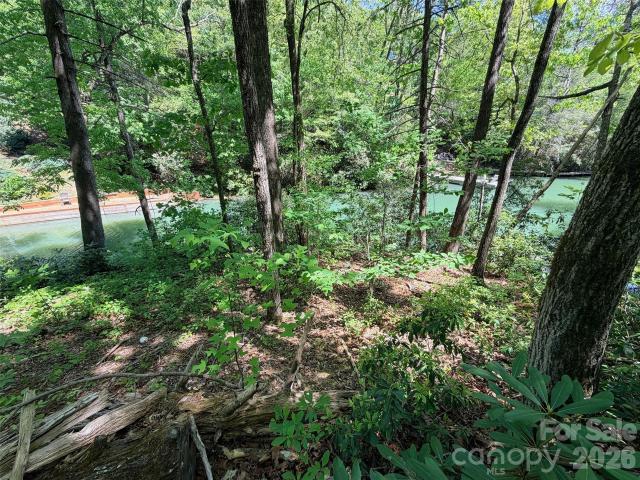 Land for sale in Rutherford, North Carolina