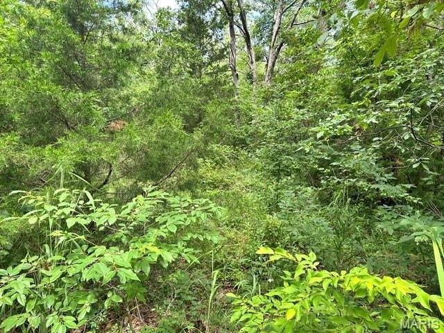 Land for sale in Bismarck, Missouri